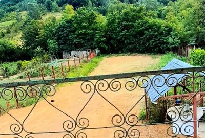 Casă cu 4 camere cu Teren 790 Mp în Plopșoru - 8