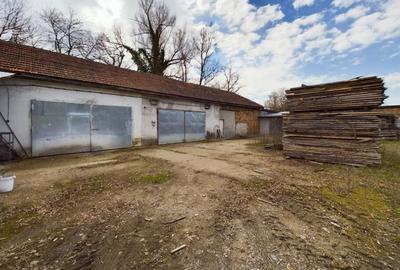 Fabrica prelucrare lemn de vanzare – Lipova, Arad - 9