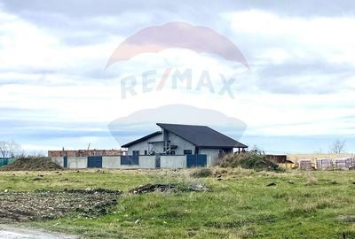 Teren intravilan de 397 mp, în Hărman - 13