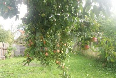 Vanzare Casa in Sacele - Locuin?a cu Teren Generos cu - 21