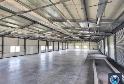 Spatiu industrial de inchiriat, zona Exterior Vest, 1026 mp #16461 - 2