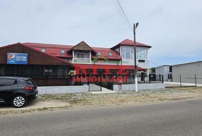 Spațiu comercial, de 250 mp, în Studina - 1