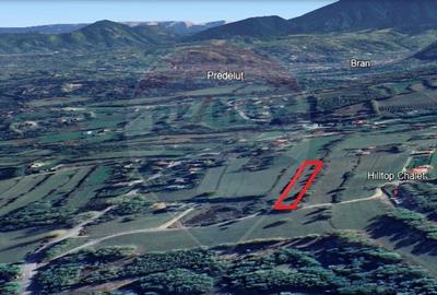 Teren 4,223mp Zarnesti - Tohanita - 8