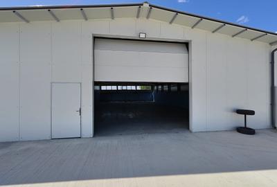 Hala noua depozitare/productie/logistica, zona Prejmer, 1200mp - 8