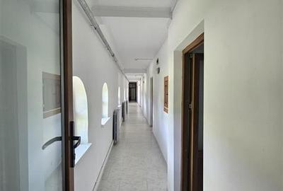 DOMENIU DE VANZARE  IN BORZESTI / ONESTI TABARA DE COPII,AZIL BATRANI,CENTRU DE - 8