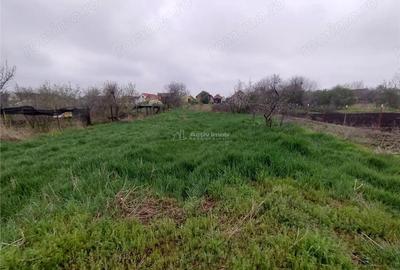 Casă cu Teren 1798 Mp în Iecea Mare - 13