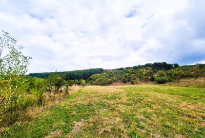 Teren 1,4 hectare Draganu Arges - 1