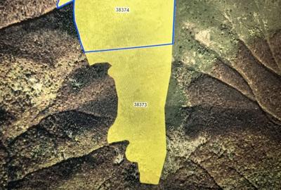 Teren de 780000 mp, în Padeș - 1