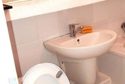 Iancului , Mihai Bravu stradal , 2 minute metrou - 12