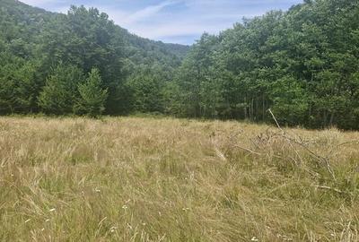 Casă cu Teren 1800 Mp în Anini - 6