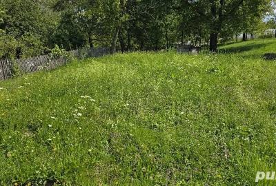 Casă în Urisiu de Sus - 1