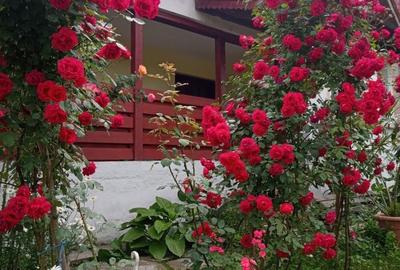 Casă cu 4 camere în Breasta - 4