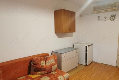 Garsoniera Buzia?ului Garsoniera Buzia?ului - 2