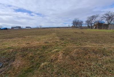 Casă individuală cu 2 camere cu Teren 3933 Mp în Curtești - 1