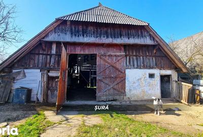 Casă cu 3 camere cu Teren 3724 Mp în Apa - 14