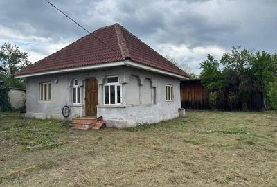 Casă în Ciuperceni - 4