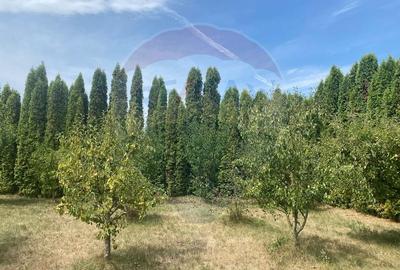 DE VANZARE Vila de vacanta in Pucioasa /Dambovita Comision 0% !!! - 45