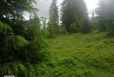 Spațiu comercial, în Beliș - 7