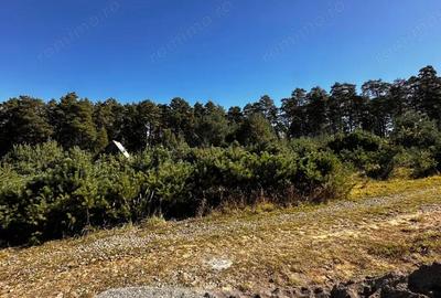 0% Comision- Teren cu constructie, langa padure-600 mp, Purcareni - 5