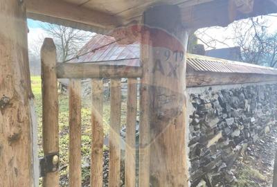 Casă individuală cu 6 camere cu Teren 2168 Mp în Săpânța - 2