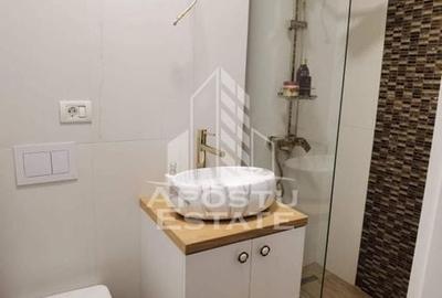 Apartament cu 3 camere,2 bai,curte proprie,Dumbravita - 9