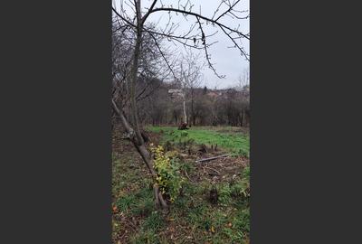 Casa Baicoi caramida 135 mp - 14