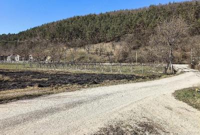 Teren de 34 mp, în Buciumi - 1