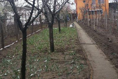 Casă cu 6 camere în Bariera Vâlcii - 2