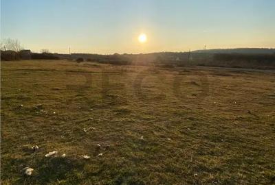 Teren de 2000 mp, în Spitalul Județean - 4