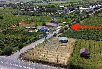 Casa sau Spatiu Dumbraveni langa DN E85 - 6