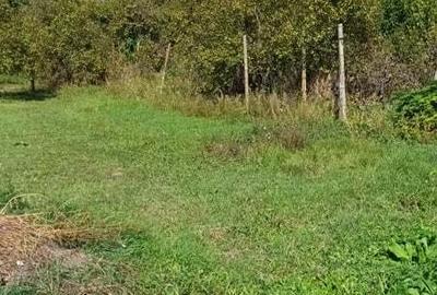 Casă cu 3 camere în Sânandrei - 4