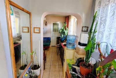 Casa unifamiliala 120 mp utili,  cu 477 mp teren, garaj, Dambul Rotund - 15