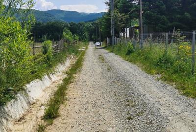 Teren intravilan de 5000, plat, orizontal la poalele muntelui, pe malul Doftanei - 13