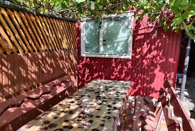 Vanzare casa la ?ara in Costi?a de Sus, comuna Tanasoaia, jud. Vrancea - 9