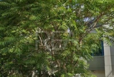 Teren de 211 mp, în Grozăvești