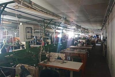 Hala de productie, birouri si 2191 mp teren in Brad, Hunedoara - 8