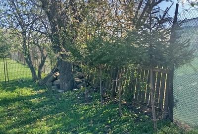 Casă cu 7 camere cu Teren 1974 Mp în Sud - 3