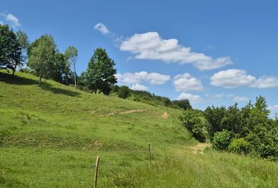 Teren extravilan Tohan cu priveliste - 5
