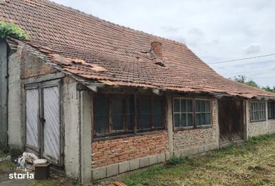 Casă cu 4 camere cu Teren 6153 Mp în Sinersig - 6