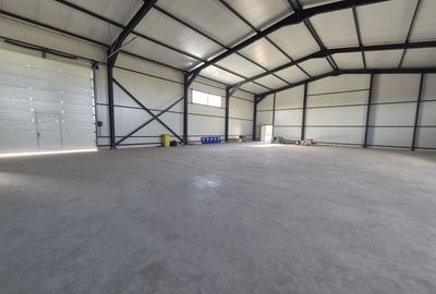 Parc Logistic Nou 2025 – Hale de Vanzare de 600 mp în Chitila-Rudeni - 9