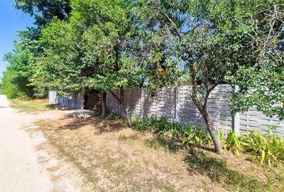 Teren de 3200 mp, în Urlueni - 6