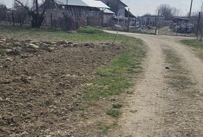 Teren de 1400 mp, în Roșu