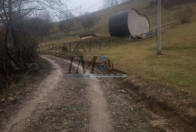 Teren de 1203 mp, în Pianu - 3