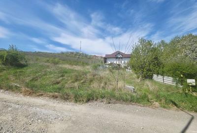 Teren Construcții intravilan de 500 mp, în Calea Romanului - 5