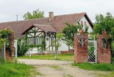 Proprietate specială, de 1,000 mp, în Ghioroc - 9