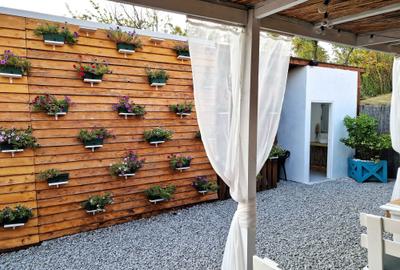 Casă cu 2 camere în Banat - 6