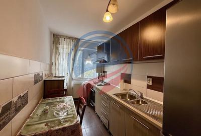 Apartament cu 2 camere semidecomandat, mobilat în Brazda lui Novac - 10