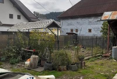 Casă cu 4 camere în Rucăr - 4