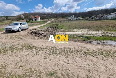 Teren 600mp Ciugud, Strada Iluminata Public - 2