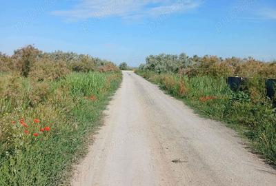Teren de 500 mp, în Central - 2